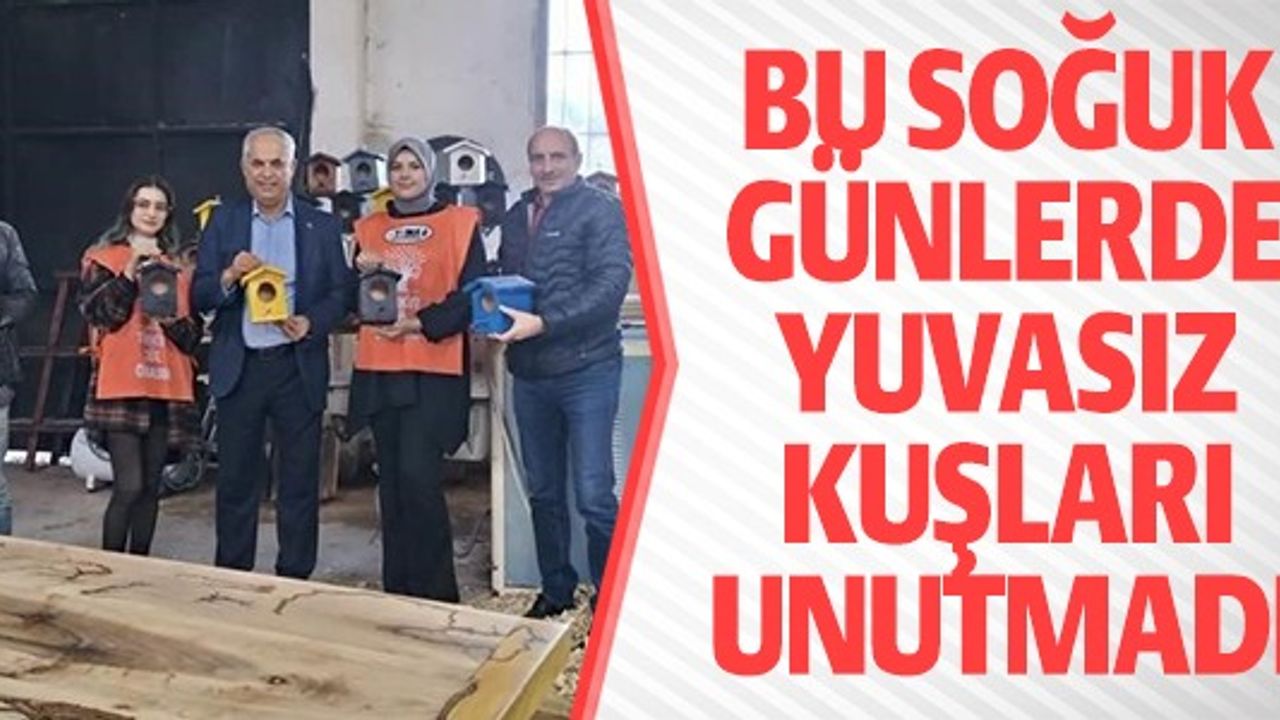 BU SOĞUK GÜNLERDE YUVASIZ KUŞLARI UNUTMADI