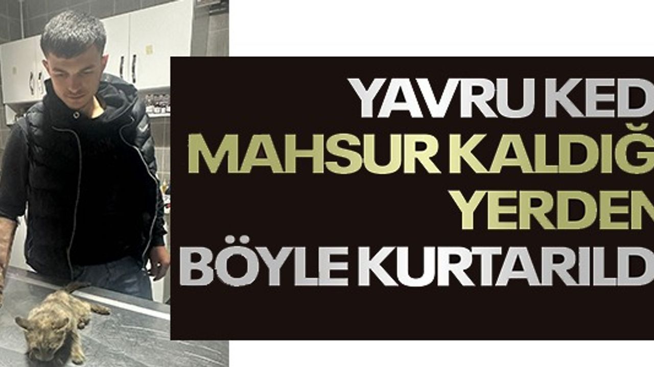 YAVRU KEDİ MAHSUR KALDIĞI YERDEN BÖYLE KURTARILDI