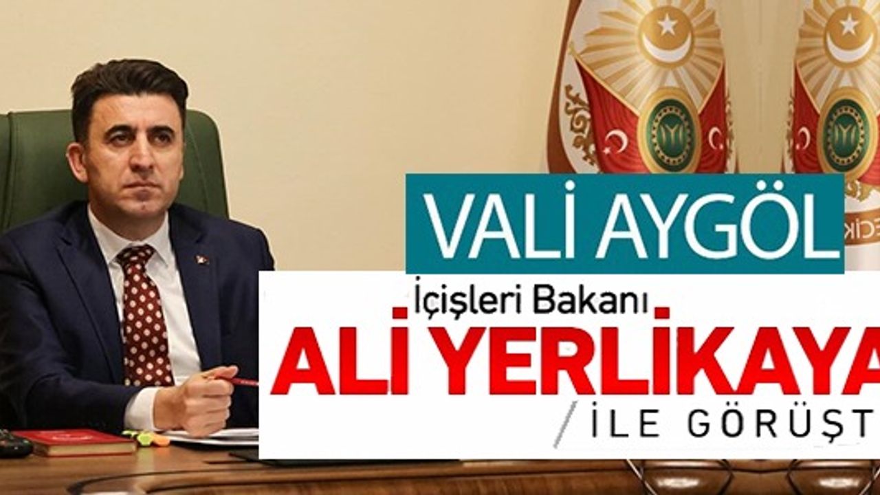 VALİ AYGÖL İÇİŞLERİ BAKANI İLE GÖRÜŞTÜ