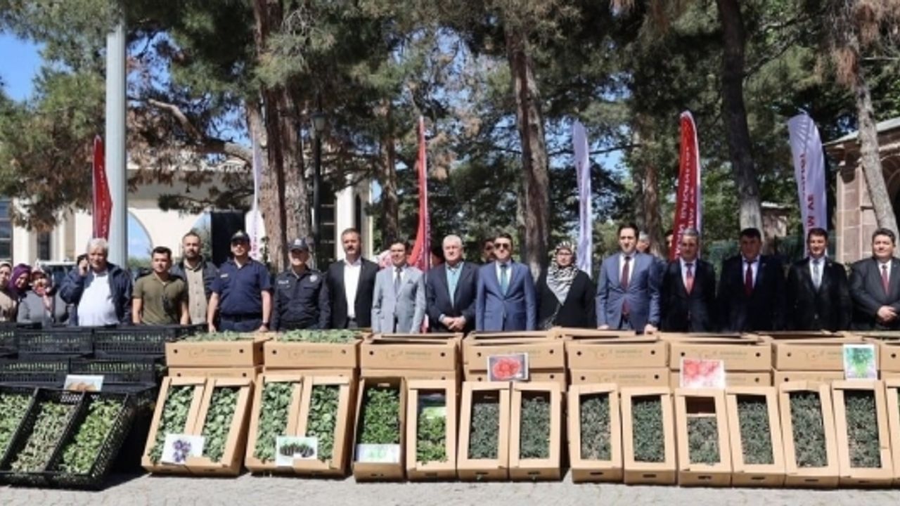 61 BİN 780 ADET SEBZE FİDESİ DAĞITILDI