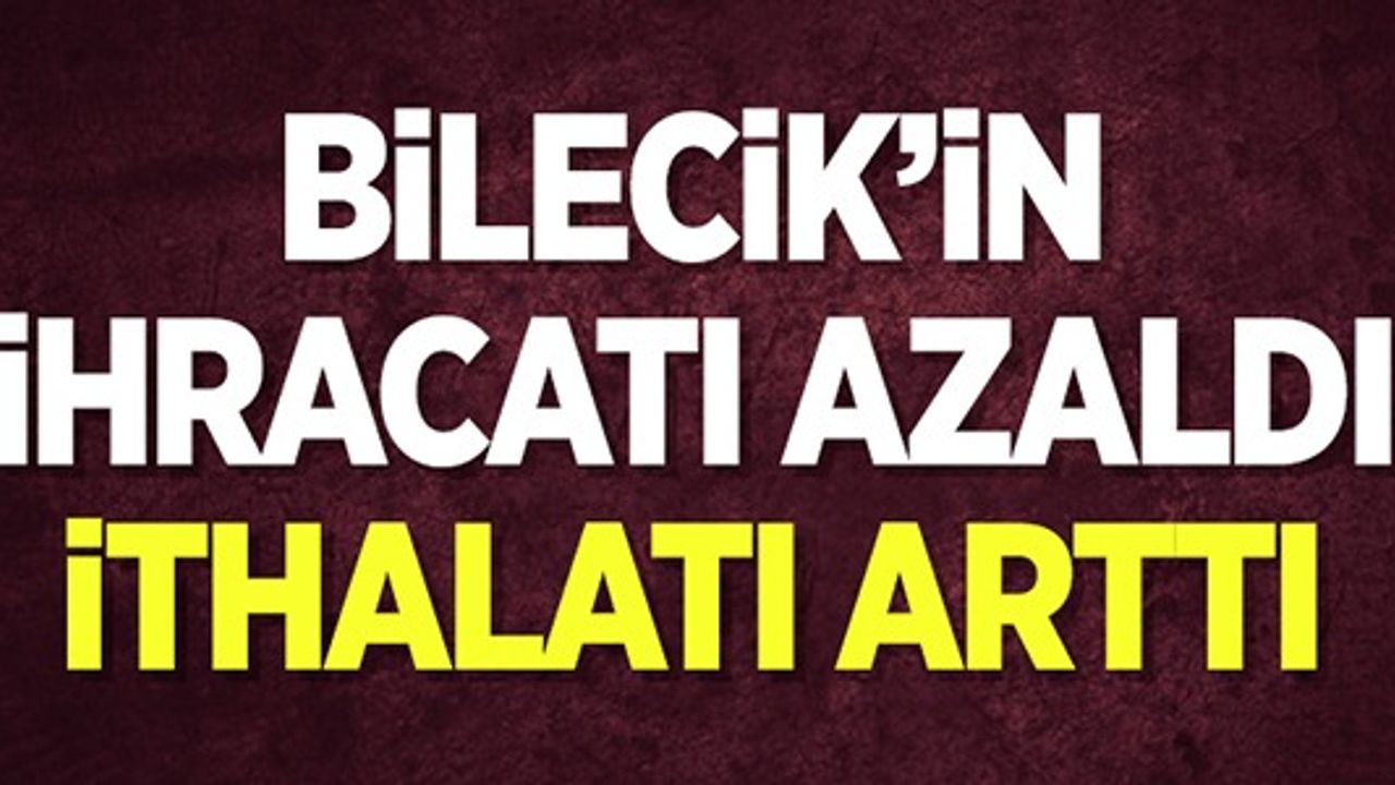 BİLECİK'İN İHRACATI AZALDI İTHALATI ARTTI