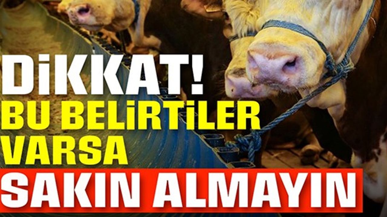DİKKAT BU BELİRTİLER VARSA SAKIN ALMAYIN