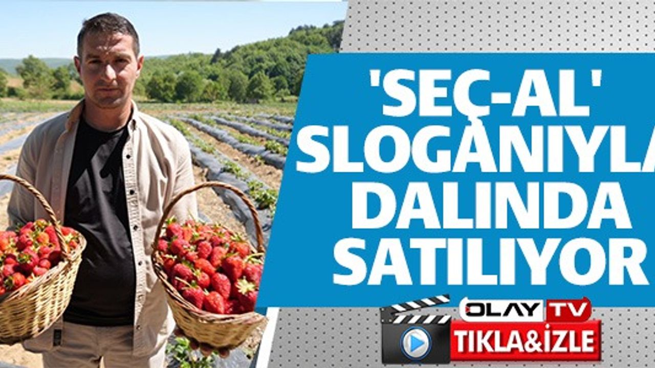 'SEÇ-AL' SLOGANIYLA DALINDA SATILIYOR