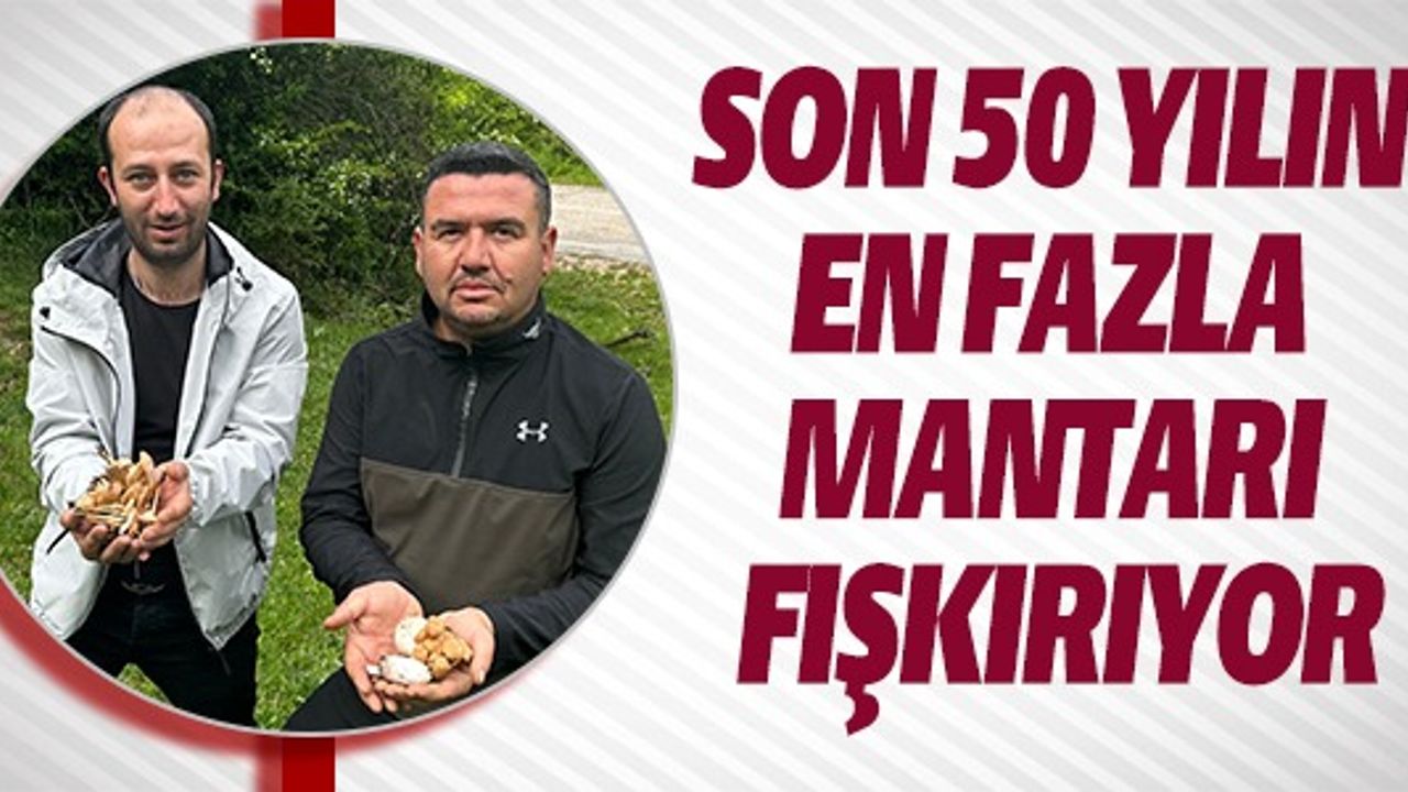 SON 50 YILIN EN FAZLA MANTARI ÇIKIYOR
