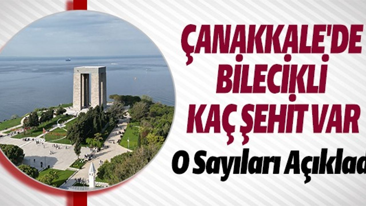 ÇANAKKALE'DE KAÇ BİLECİKLİ ŞEHİT VAR
