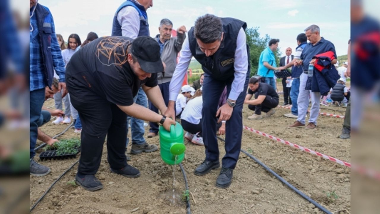 FİDE DİKİMİ İLE TÜM ENGELLER KALKTI