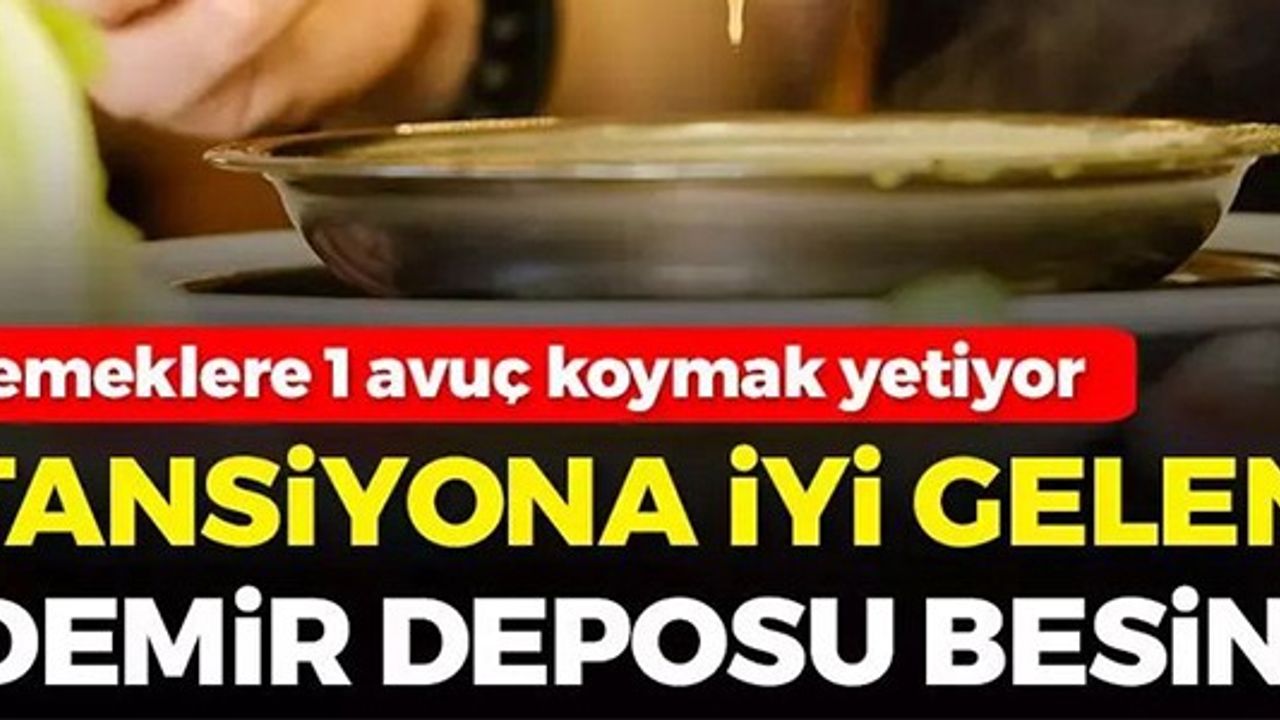 TANSİYONA İYİ GELEN DEMİR DEPOSU BESİN!