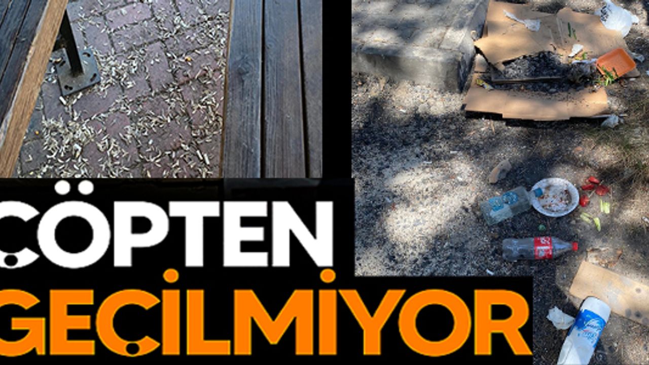 PİKNİKÇİLER ÇEVREYE ATTIĞI ÇÖPLER TEPKİLERE NEDEN OLUYOR