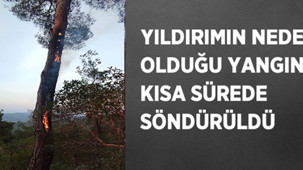 YILDIRIMIN NEDEN OLDUĞU YANGIN KISA SÜREDE SÖNDÜRÜLDÜ