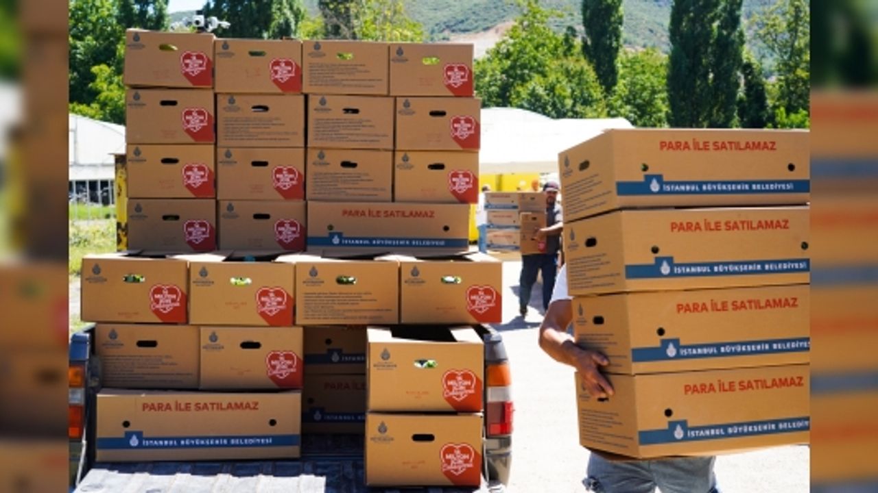 1 MİLYON 400 BİN FİDE DAĞITILDI