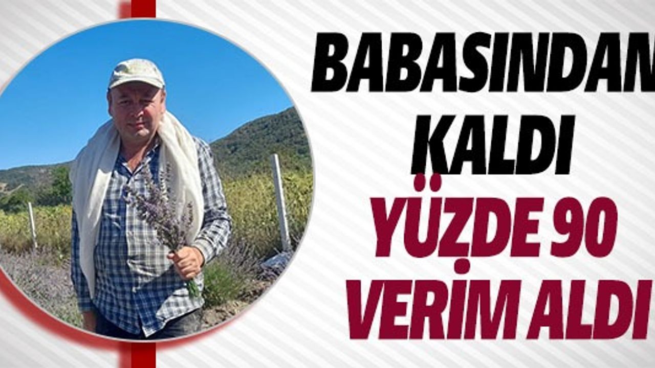 BABASINDAN KALDI YÜZDE 90 VERİM ALDI