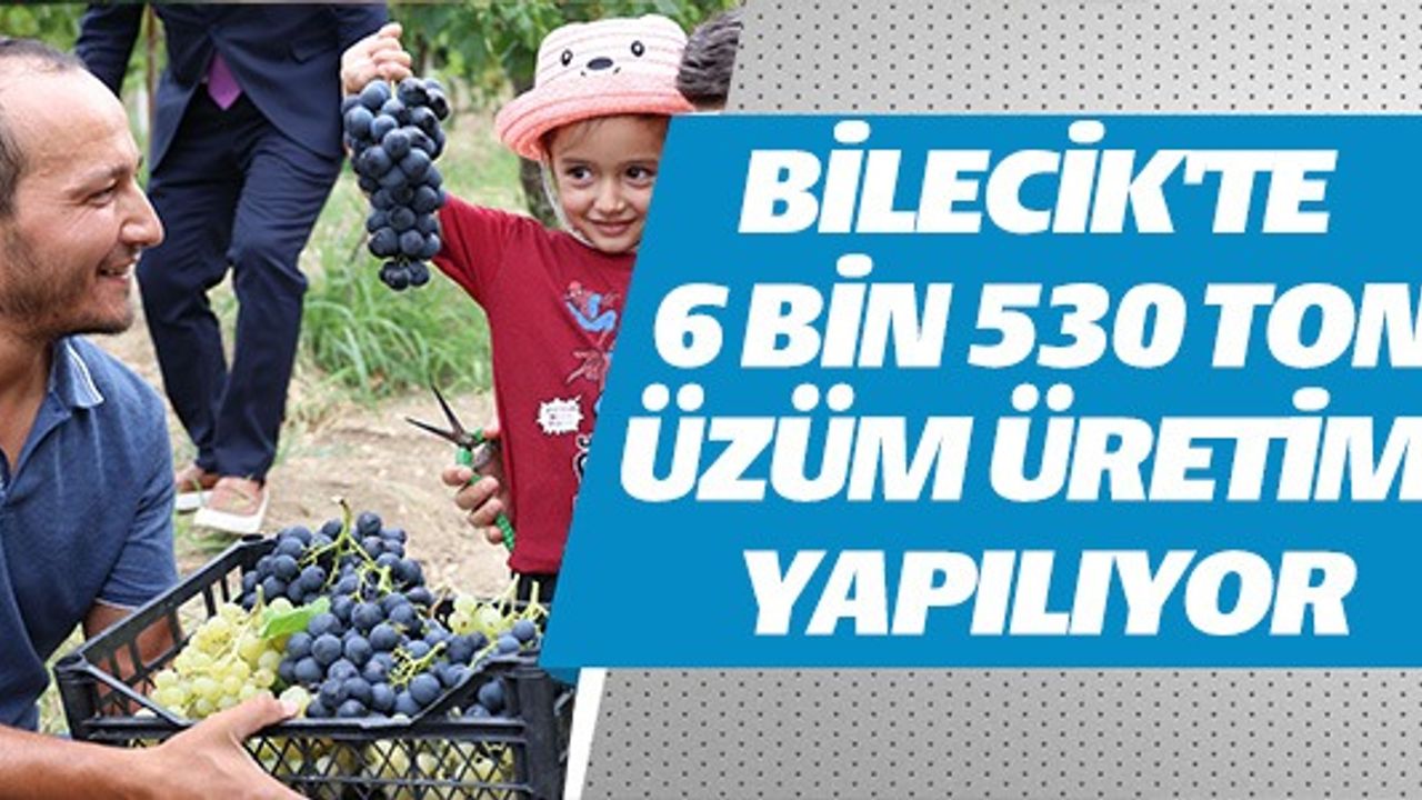 BİLECİK'TE 6 BİN 530 TON ÜZÜM ÜRETİMİ YAPILIYOR