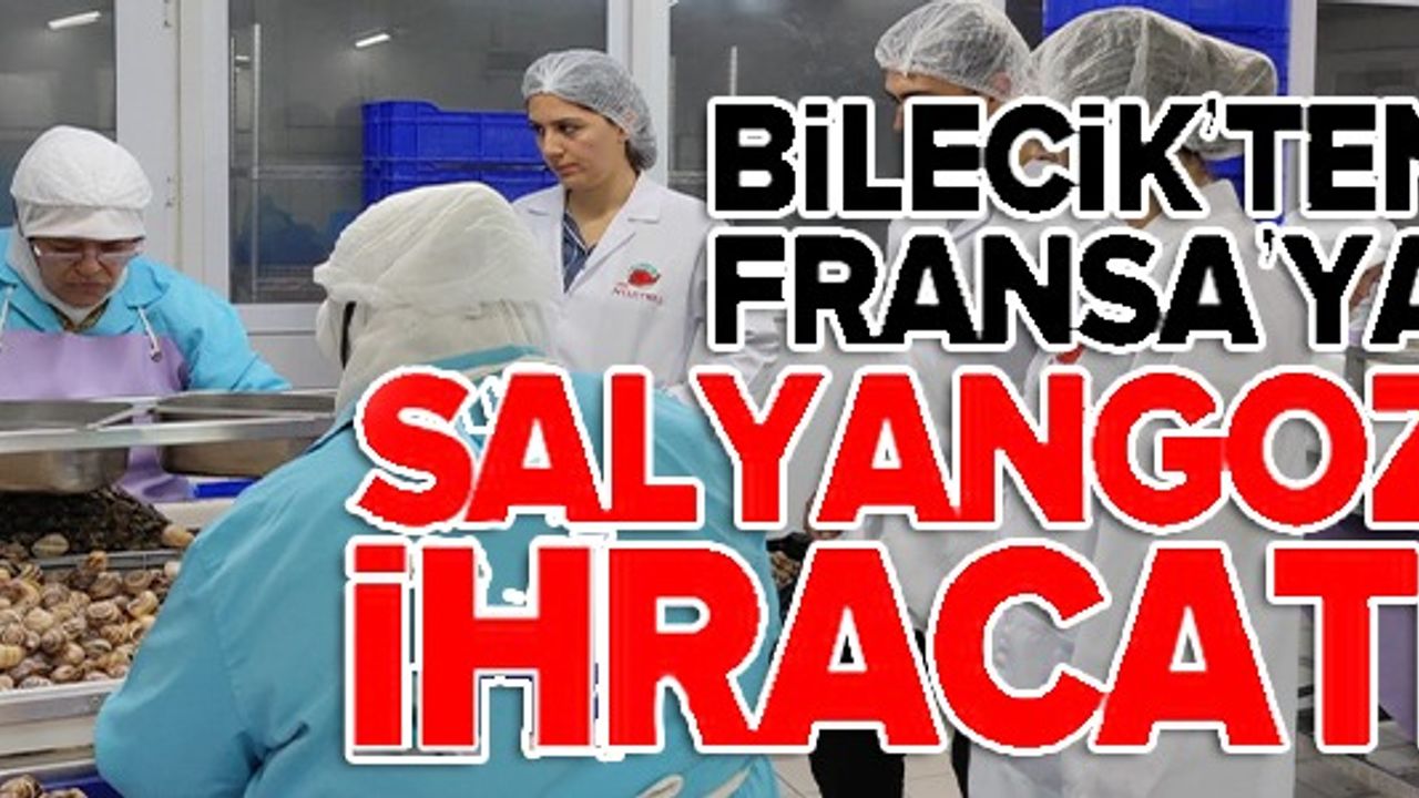 BİLECİK'TEN FRANSA'YA SALYANGOZ İHRACATI
