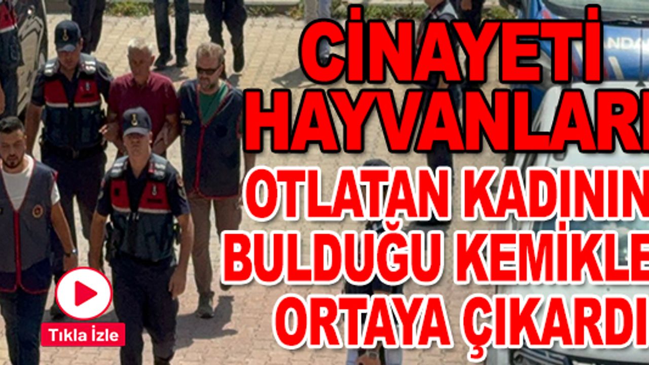 BİLECİK’TE CİNAYETİ HAYVANLARI OTLATAN KADININ BULDUĞU ÇÖZDÜ