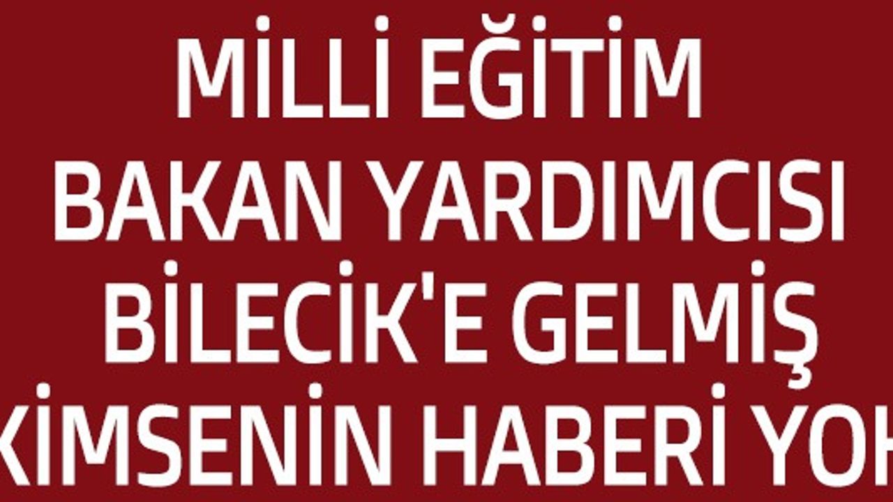 MİLLİ EĞİTİM BAKAN YARDIMCISI BİLECİK'E GELMİŞ KİMSENİN HABERİ YOK