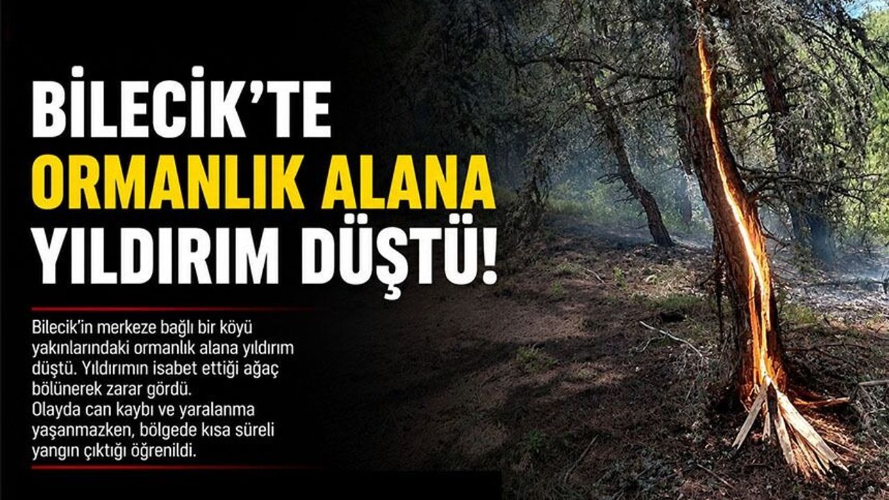 ORMANLIK ALANA YILDIRIM DÜŞTÜ