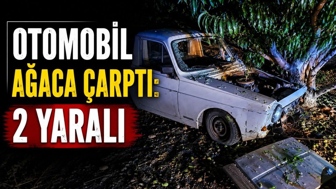 OTOMOBİL AĞACA ÇARPTI: 2 YARALI