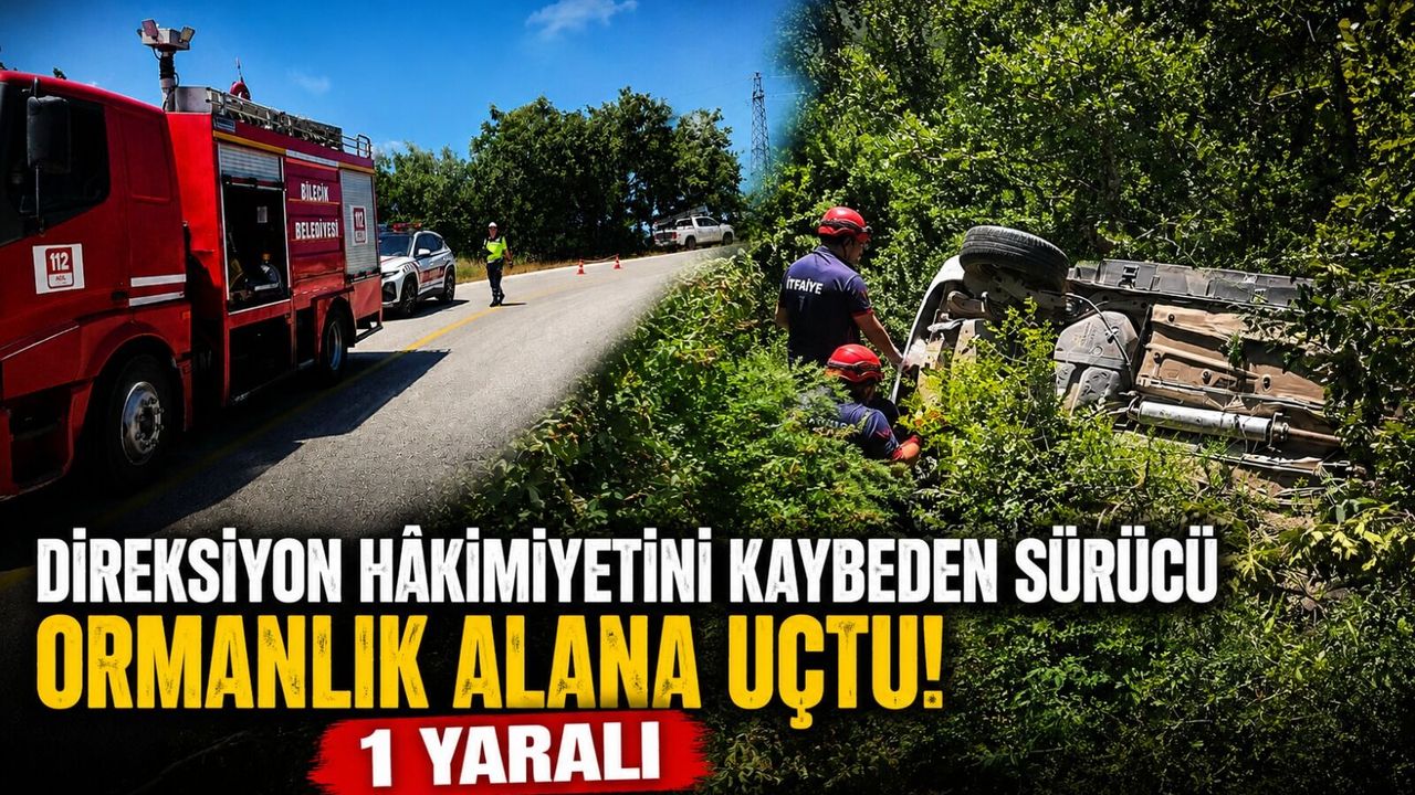 SÜRÜCÜ ORMANLIK ALANA UÇTU: 1 YARALI