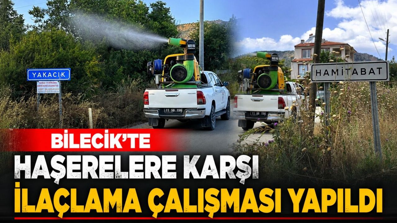 HAŞERELERE KARŞI İLAÇLAMA ÇALIŞMASI YAPILDI