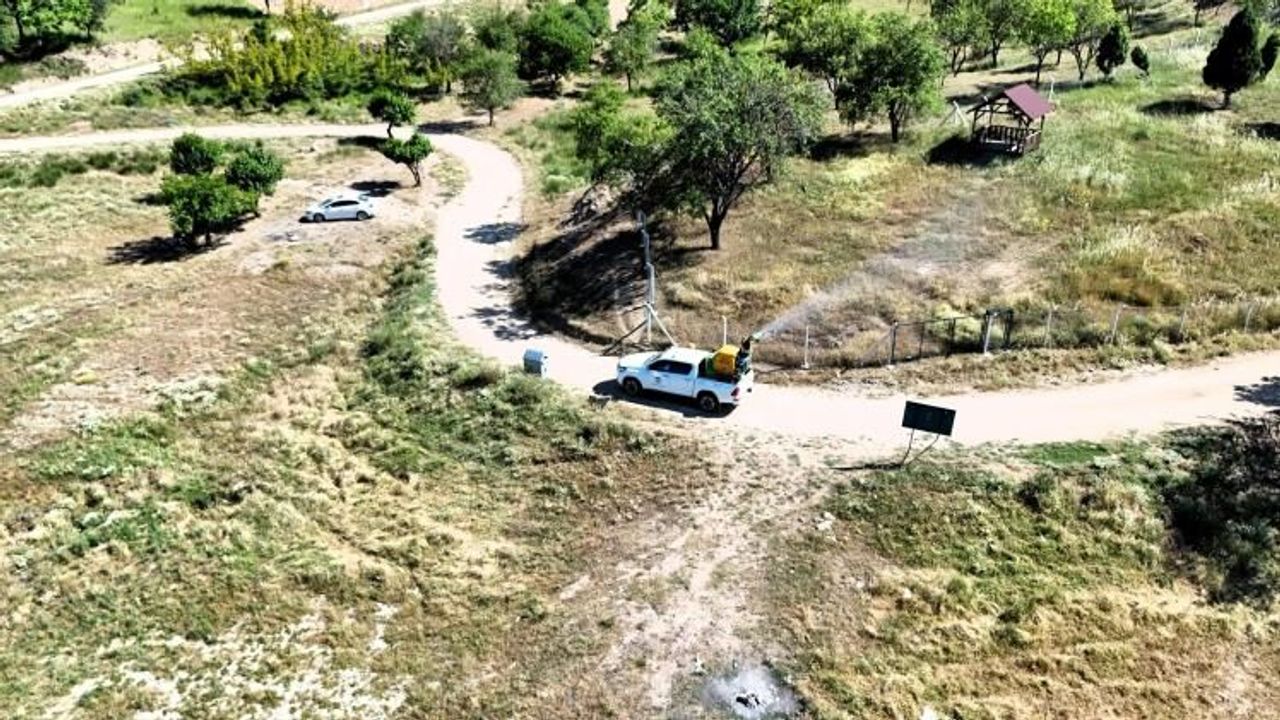 GÖLETLERDE SİNEK İLACI ÇALIŞMASI YAPILDI