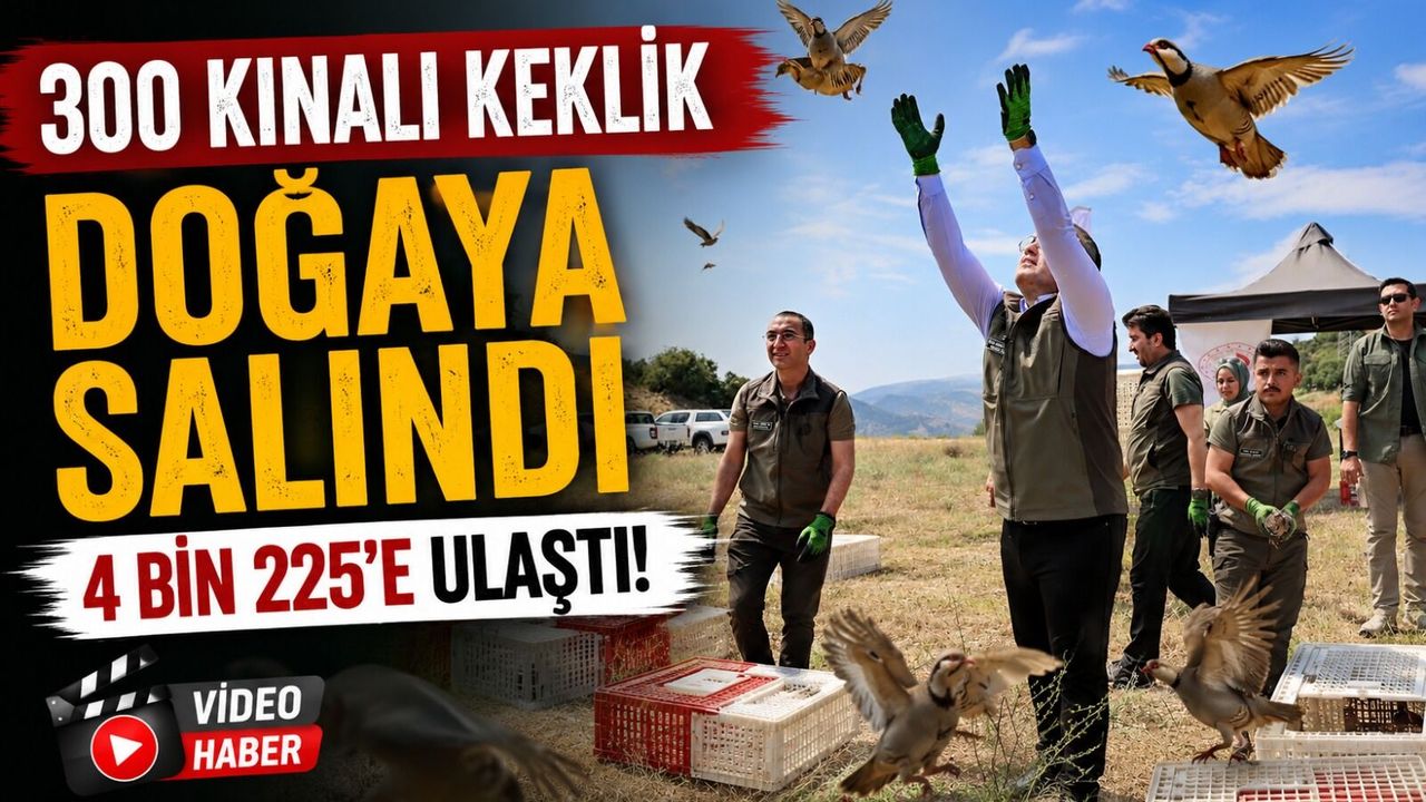 300 KINALI KEKLİK DOĞAYA SALINDI