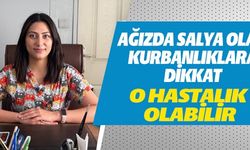 AĞIZDA SALYA OLAN KURBANLARA DİKKAT