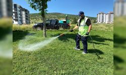 BOZÜYÜK'TE HAŞERE MÜCADELESİ KENE İLAÇLAMASI İLE SÜRÜYOR