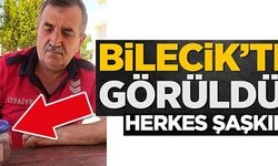 BİLECİK'TE GÖRÜLDÜ, HERKES ŞAŞKIN