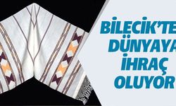 BİLECİK'TEN DÜNYAYA İHRAÇ OLUYOR!