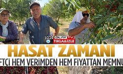 ÇİFTÇİ HEM VERİMDEN HEM FİYATTAN MEMNUN