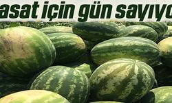 HASAT İÇİN GÜN SAYIYOR