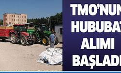 TMO'NUN HUBUBAT ALIMI BAŞLADI