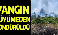 YANGIN BÜYÜMEDEN SÖNDÜRÜLDÜ