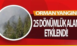 25 DÖNÜMLÜK ALAN ETKİLENDİ!