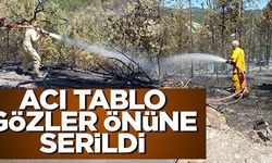 ACI TABLO GÖZLER ÖNÜNE SERİLDİ