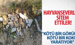 HAYVANSEVERLERE SİTEM ETTİLER!