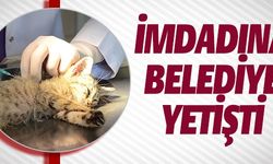 İMDADINA BELEDİYE YETİŞTİ