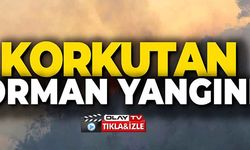 KORKUTAN ORMAN YANGINI