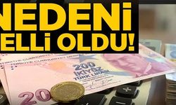 NEDENİ BELLİ OLDU!