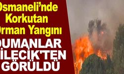 OSMANELİ'NDE KORKUTAN ORMAN YANGINI