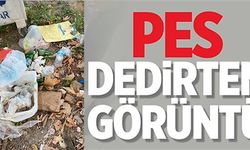 PES DEDİRTEN GÖRÜNTÜ