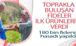 TOPRAKLA BULUŞAN FİDELER İLK ÜRÜNLERİNİ VERDİ