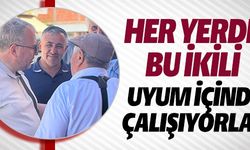 UYUM İÇİNDE ÇALIŞIYORLAR