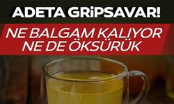 ADETA GRİPSAVAR!