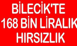 BİLECİK'TE 168 BİN LİRALIK HIRSIZLIK