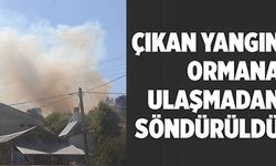 ÇIKAN YANGIN ORMANA ULAŞMADAN SÖNDÜRÜLDÜ