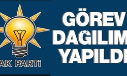 GÖREV DAĞILIMI YAPILDI