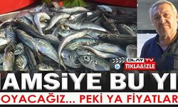 HAMSİYE BU YIL DOYACAĞIZ