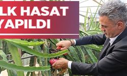 İLK HASAT YAPILDI