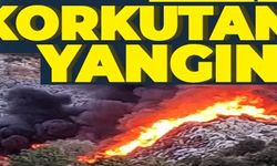 KORKUTAN YANGIN!